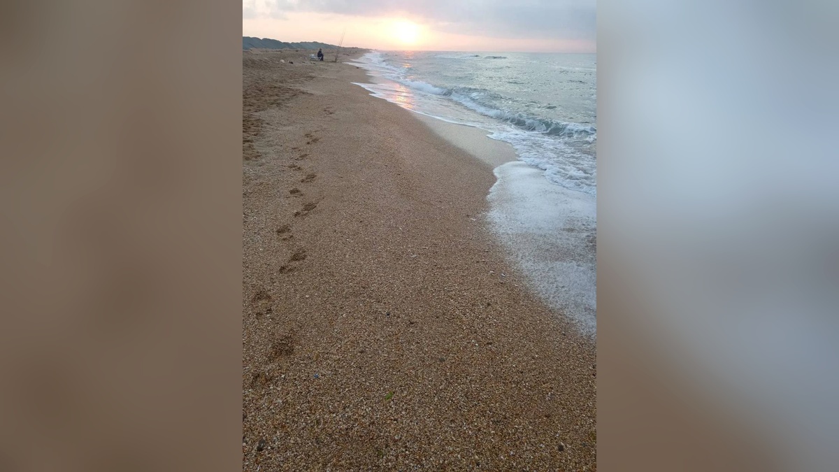 В Анапе и Темрюкском районе за неделю не обнаружили новых выбросов мазута