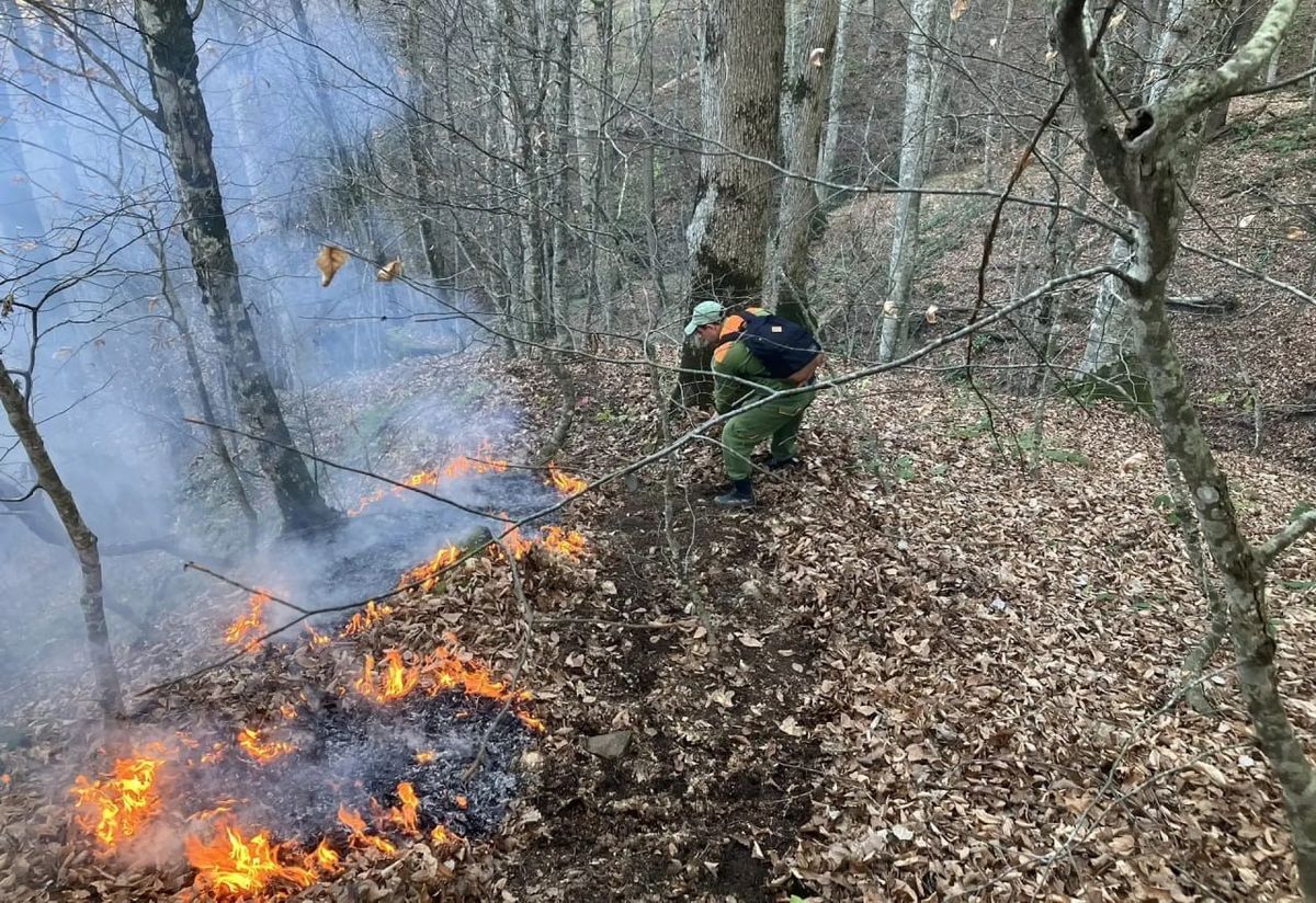 Лесной пожар в Туапсинском округе локализовали на площади 3 га