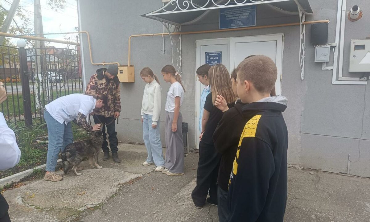 Ученики из Мостовского района больше узнали о профессии ветеринара на экскурсии