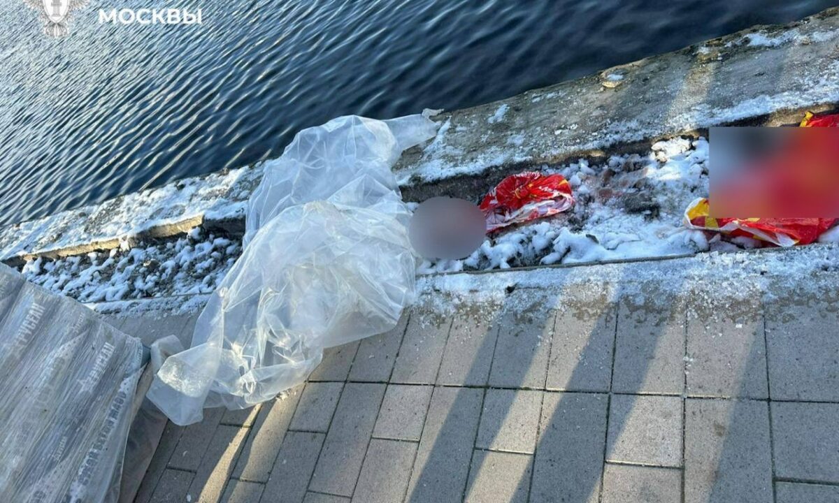 Рюкзак с головой ребенка обнаружили в пруду на востоке Москвы