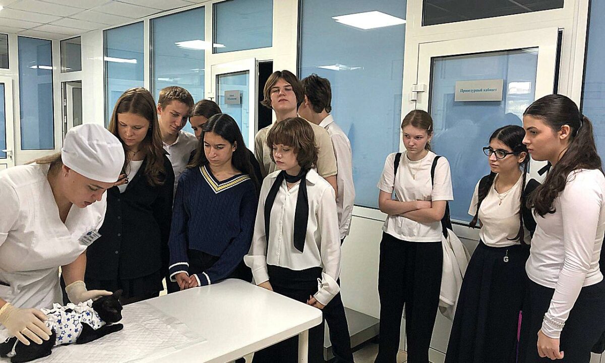 Краснодарские школьники познакомились с профессией ветеринарного врача