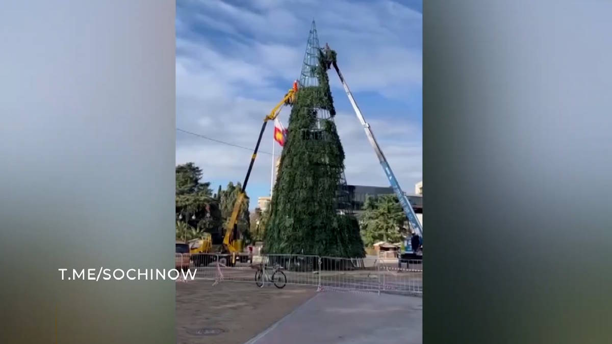 Главную новогоднюю елку устанавливают в Сочи