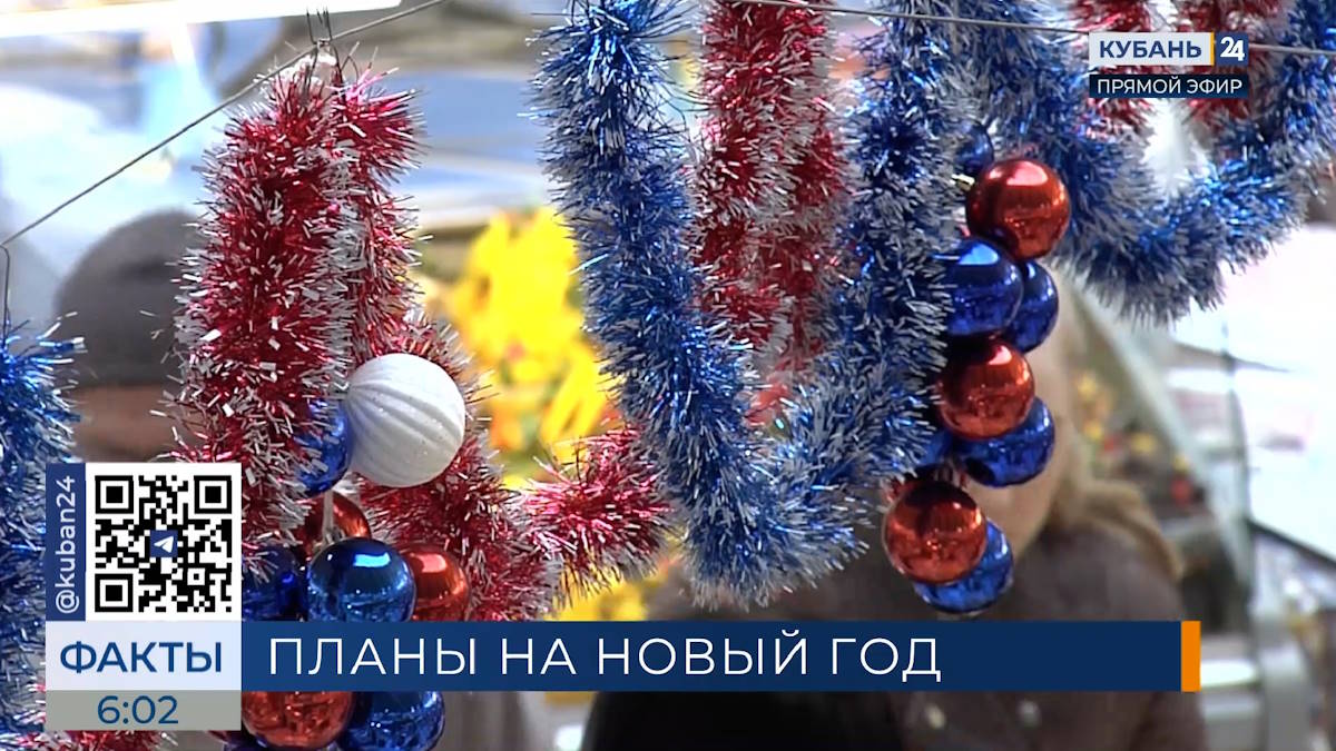 Опрос: каждый третий краснодарец проведет новогодние праздники дома