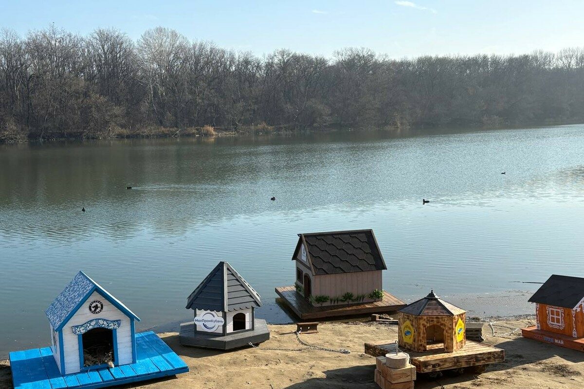 Домики для лебедей и уток установили на набережной в Кропоткине