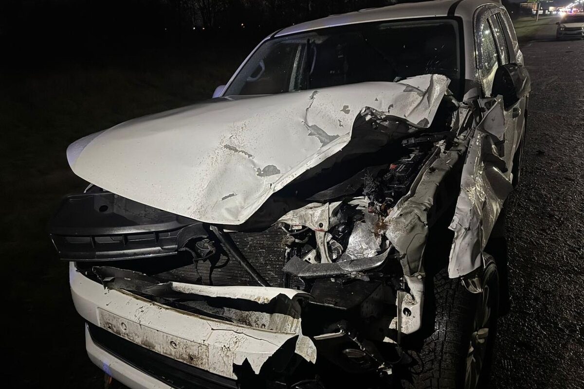 В Северной Осетии три машины врезались в одну корову, один водитель погиб