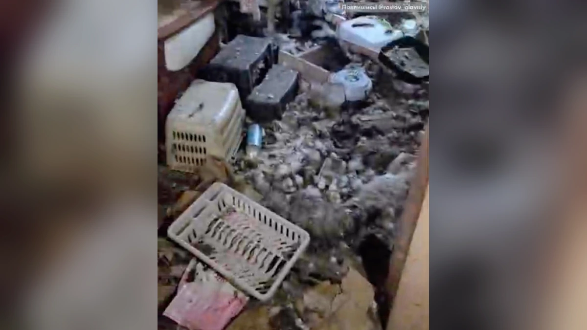 Приют в Ростовской области, где погибли десятки животных, не был зарегистрирован