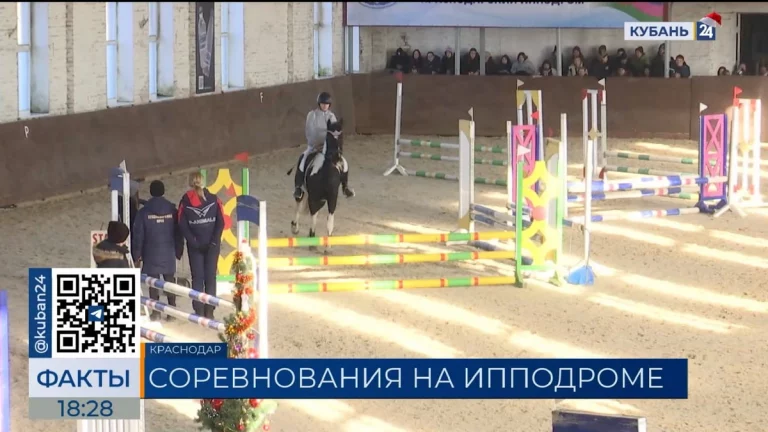 Зимнее первенство по конному спорту стартовало в Краснодаре