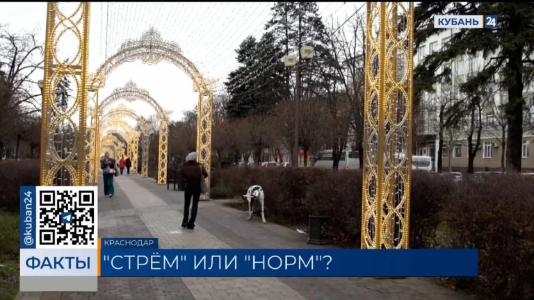 Жители Краснодара оценили новогоднее оформление города