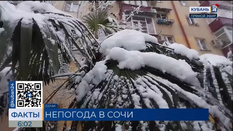 В Сочи и Сириусе до 1 января ожидаются понижение температуры, снег и ветер