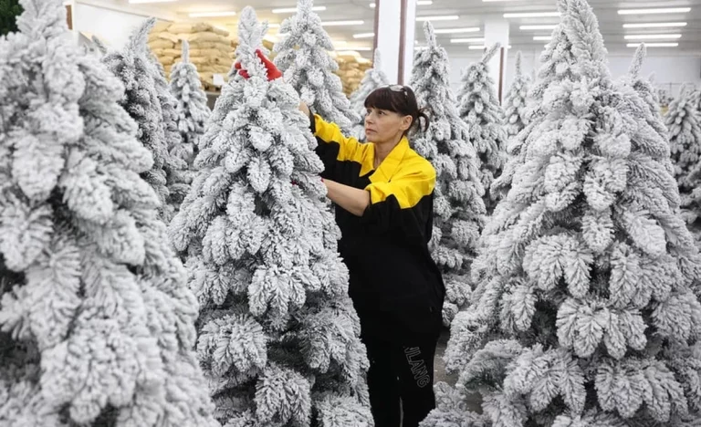 Кондратьев: на Кубани производят главные атрибуты Нового года — елки и игрушки