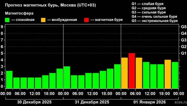 В новогоднюю ночь на Земле ожидаются слабые магнитные бури