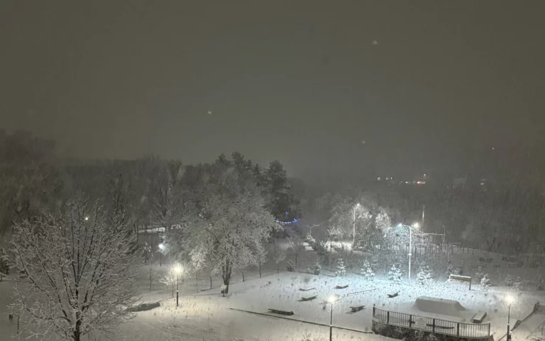 Шесть населенных пунктов в Горячем Ключе остались без света из-за снегопада
