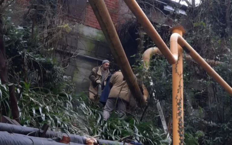 В Туапсе при атаке БПЛА пострадали кадетский корпус, психдиспансер и техникум