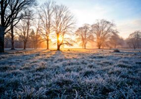 Потепление в Краснодарском крае ожидается к концу недели