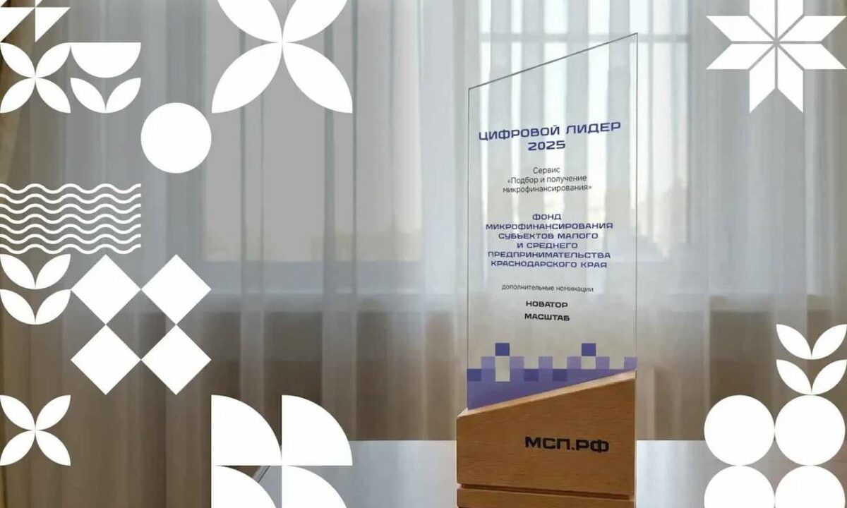 Кубань вошла в число цифровых лидеров по поддержке малого бизнеса в России