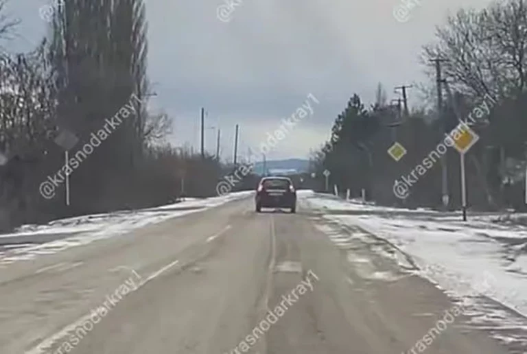 На Кубани полиция проверит сообщение о привязанной к едущей машине собаке