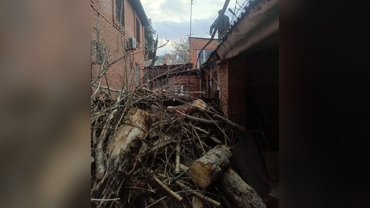 В Краснодаре рухнувшее дерево повредило газопровод на улице Октябрьской