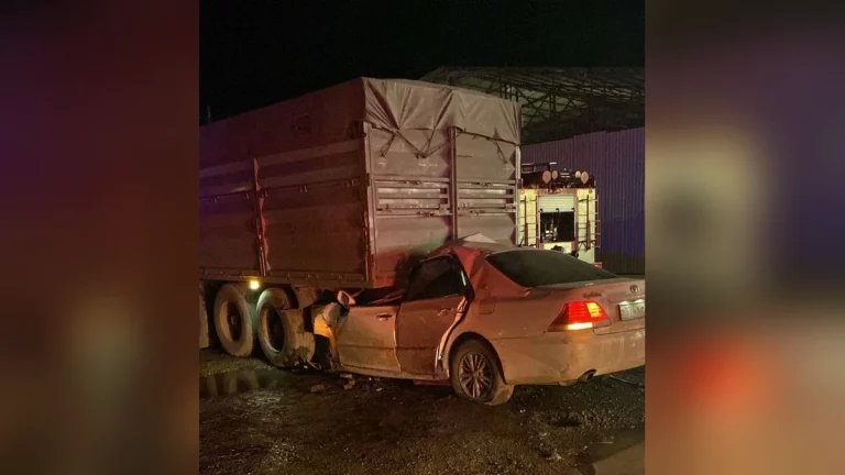 Под Краснодаром легковушка влетела в стоящую возле трассы фуру, есть погибшие