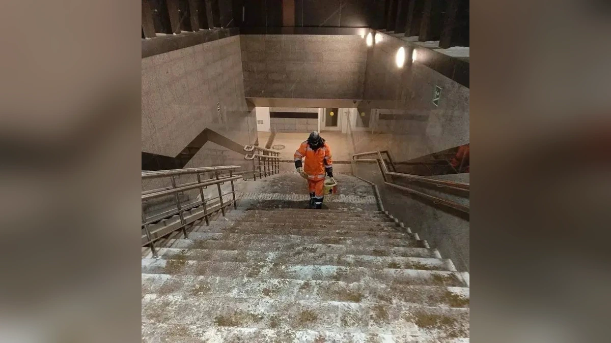 Пешеходные зоны в Краснодаре обрабатывают 605 человек и 25 спецмашин