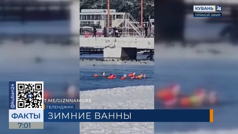 Моржи устроили массовый заплыв в Геленджике