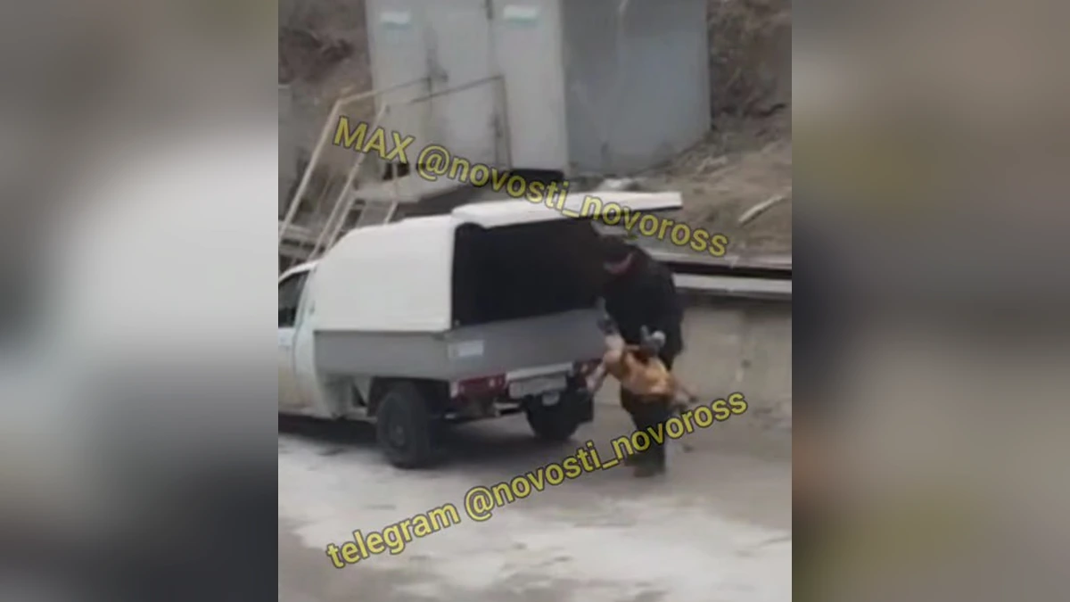 В Новороссийске полиция проверит информацию об отстреле 30 собак