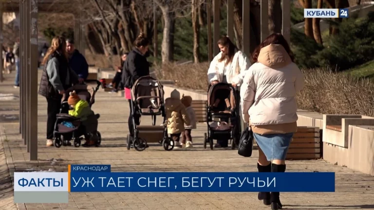 Синоптики прогнозируют резкое похолодание с 1 февраля на Кубани | Факты