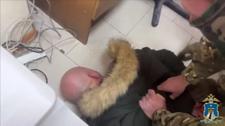 На Ставрополье ДНК-анализ помог раскрыть дело об убийстве девушки спустя 28 лет