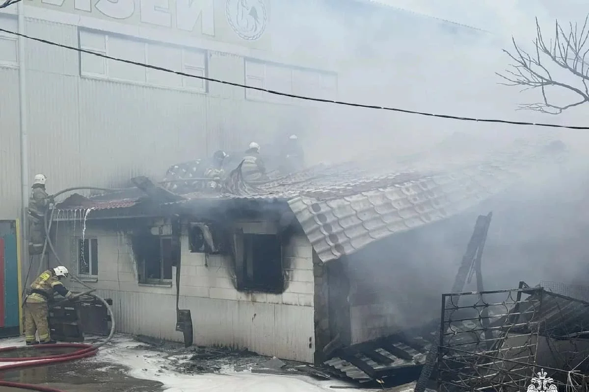 Более 20 лошадей и человека спасли при пожаре на конюшне под Новороссийском