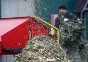 Жителям Анапы предложили сдать новогодние елки на переработку