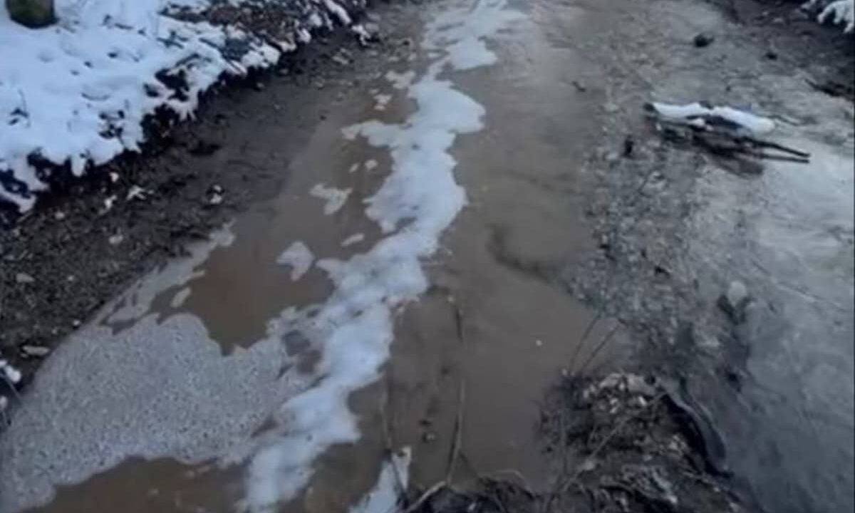 В Новороссийске фильтрат попал в реку, впадающую в Черное море