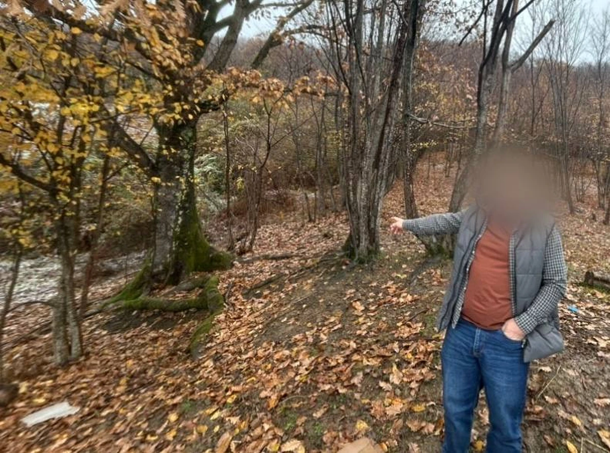 По 2 года колонии грозит браконьерам, ослеплявшим и ловившим перепелов в Сочи