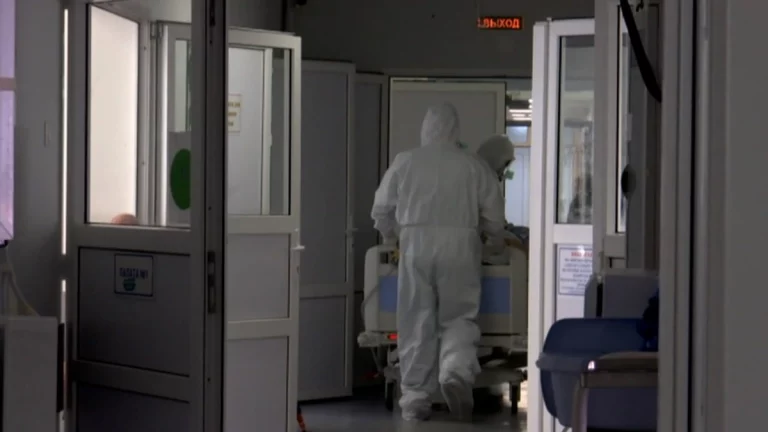 Случаи заболевания оспой обезьян зафиксировали в Подмосковье