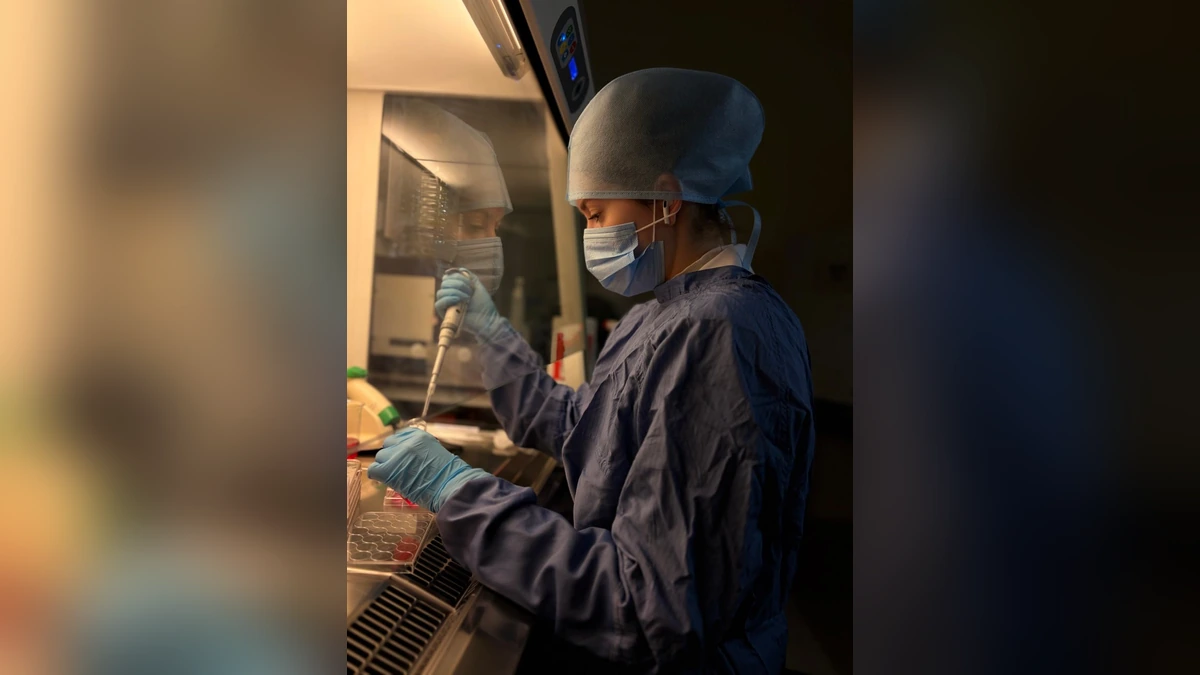 Ученые КубГМУ проводят исследования для создания ранозаживляющих имплатнов