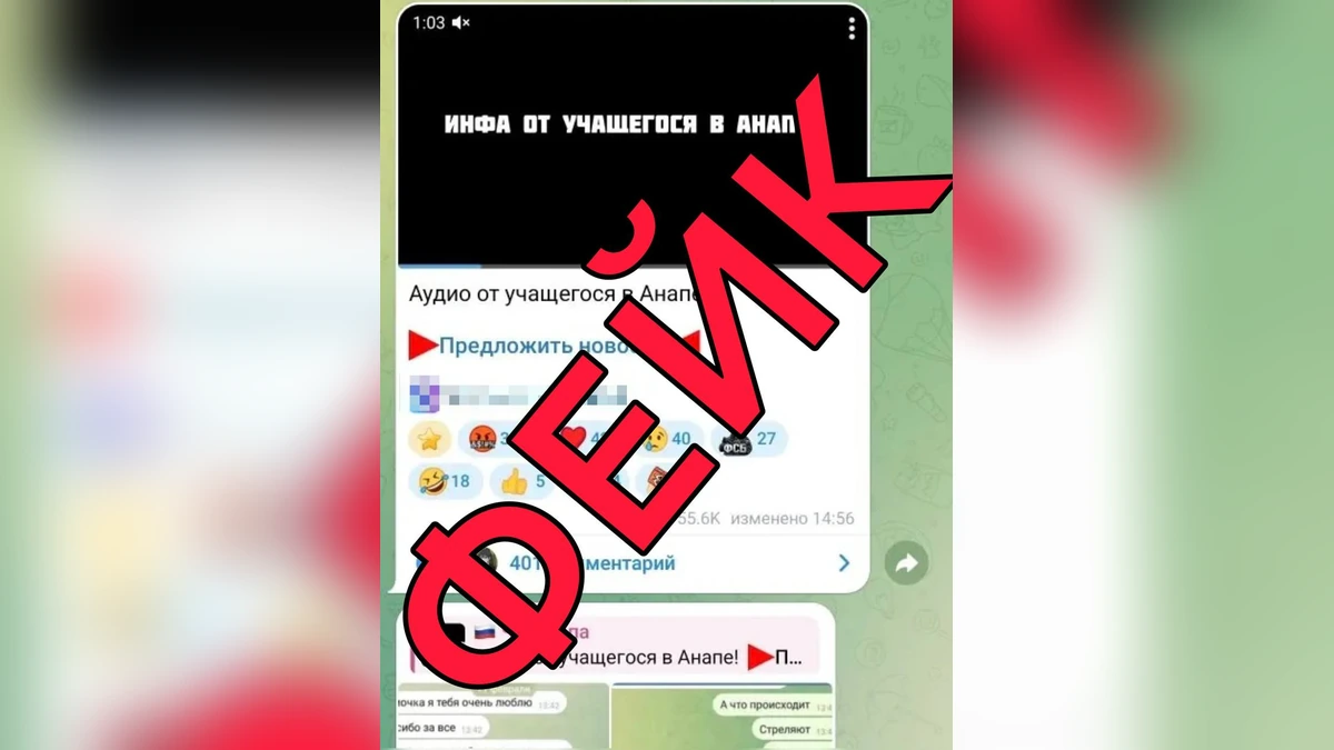 Власти опровергли фейк о том, что покупка диплома стала мотивом стрельбы в Анапе