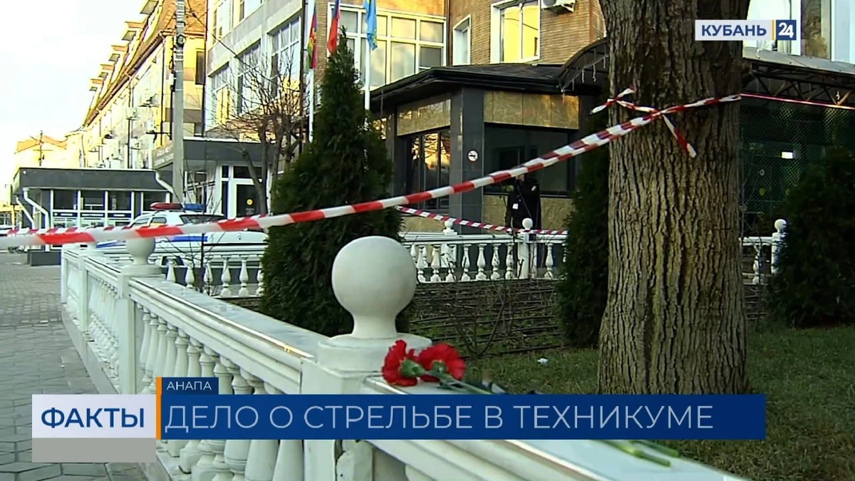 Одногруппник стрелка из Анапы обвиняется в подстрекательстве к убийству. «Факты»