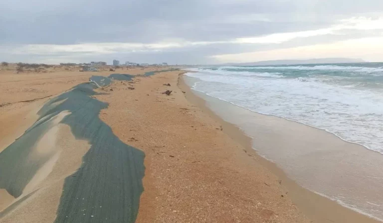 Море размыло песок и обнажило старые выбросы мазута на побережье Анапы