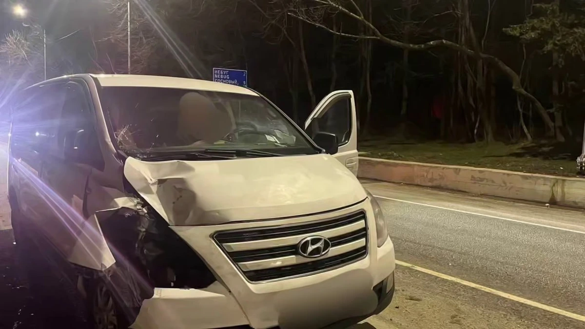 Пенсионер на микроавтобусе насмерть сбил мужчину на трассе под Туапсе