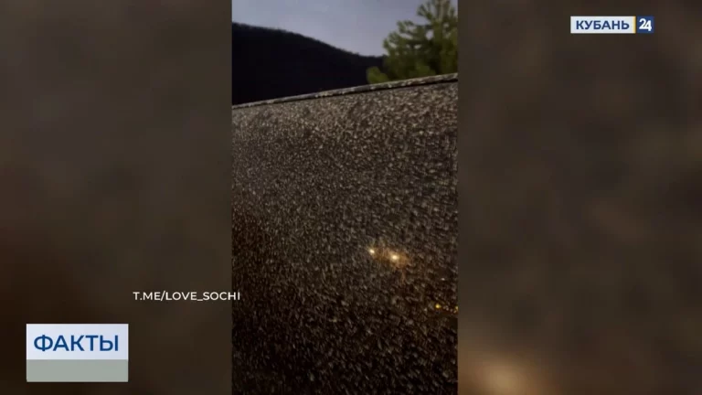 Африканская пыль достигла Краснодарского края: опасна ли она для людей и машин