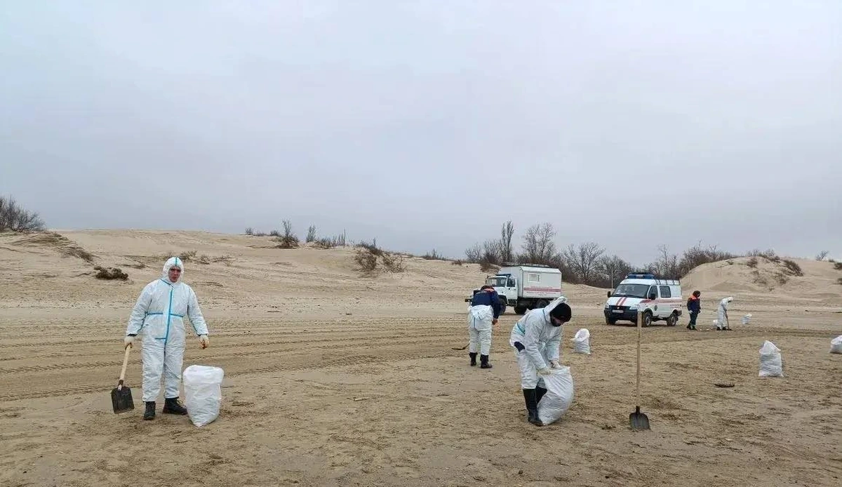 Шторм поднял со дна старые выбросы мазута в Анапе и Темрюкском районе