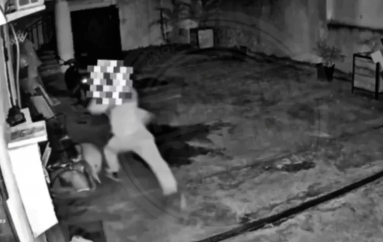 В Сочи прохожий избил залаявшего на него старого пса