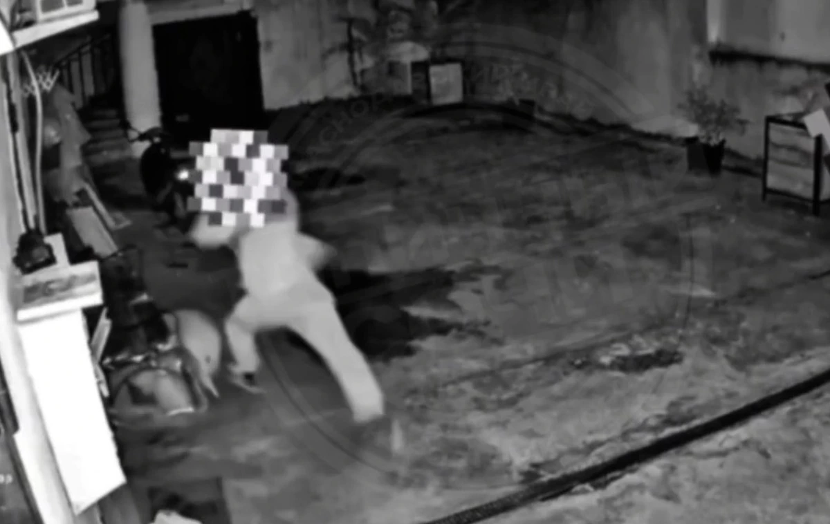 В Сочи прохожий избил залаявшего на него старого пса