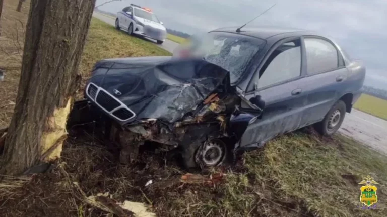 На Кубани водитель иномарки скрылся с места ДТП после гибели своего пассажира