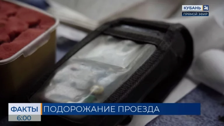 В Новороссийске с 1 марта подорожает проезд в троллейбусах