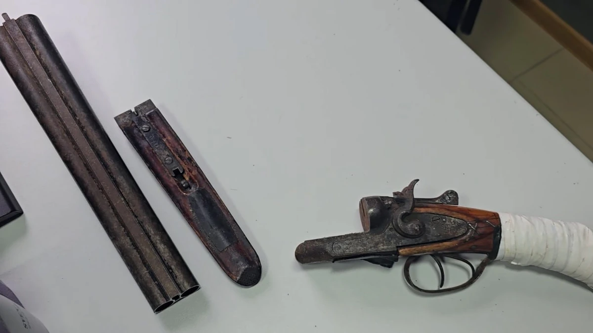 Более 280 боеприпасов времен войны нашли в доме жителя Крымского района