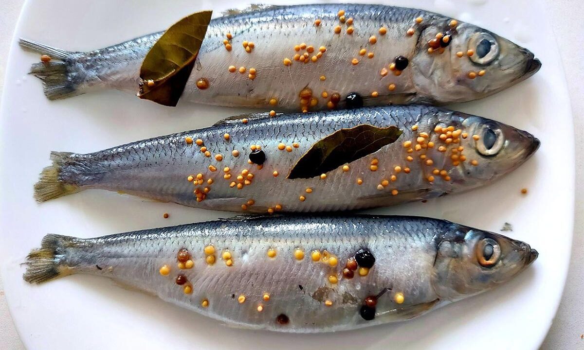 Быстрый и простой военно-морской способ приготовления салаки пряного посола