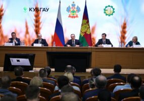 На развитие растениеводства на Кубани в 2026 году направят 5,3 млрд рублей