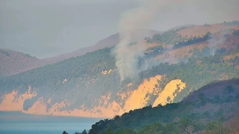 Лесной пожар на площади 0,5 га зафиксировали под Геленджиком