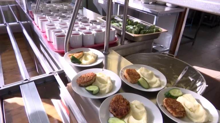 Более 420 тыс. учеников получают бесплатное питание в школах Кубани