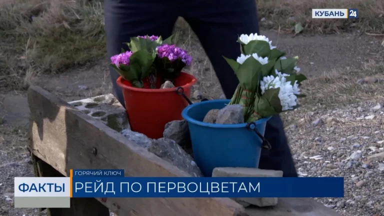 Рейд по торговцам первоцветами прошел в Краснодарском крае