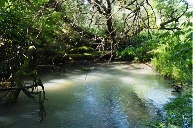 Заказник «Лабинский» получил статус особо охраняемой природной территории